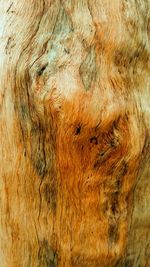 Full frame shot of a wood