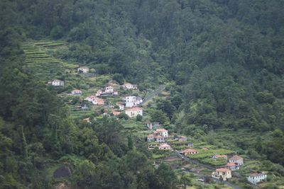 High angle view of townscape and trees in town