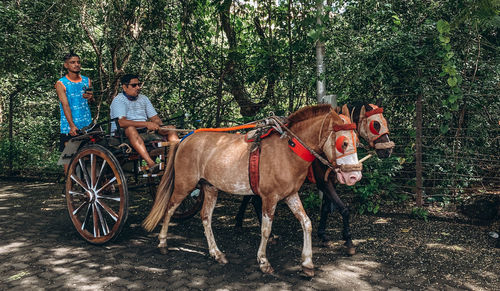 Man riding horse