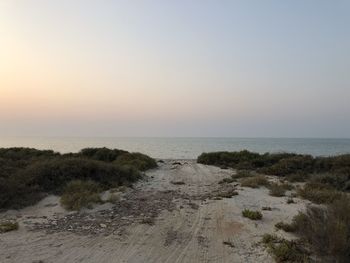 Scenic view of sea against clear sky during sunset