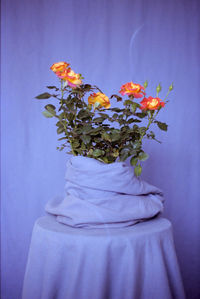 Close-up of white flower vase on table against wall