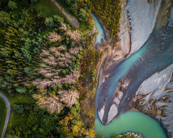 High angle view of trees on land