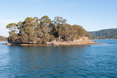 Historic isle of the dead island in porth arthur in tasmania, australia