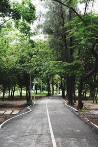 Road amidst trees