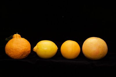 Close-up of oranges against black background