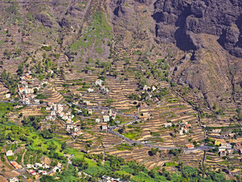 High angle view of plants growing on field