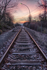 Railroad tracks amidst trees against sky