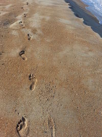 View of sandy beach