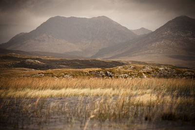 Scenic view of field and mountains against sky