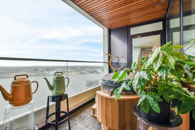 Potted plants on table by window