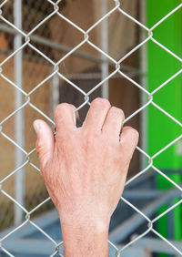 fence
