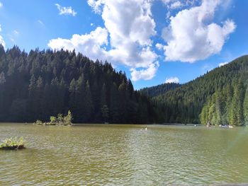 Scenic view of lake by trees against sky