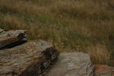 Close-up of barbed wire fence on rock