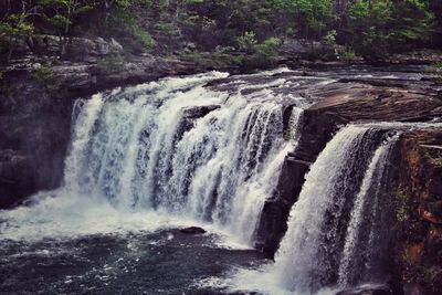 Scenic view of waterfall in forest