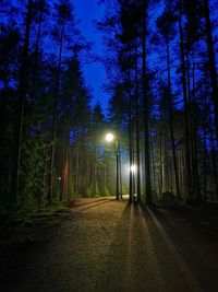 Road amidst trees in forest at night