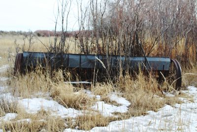 Abandoned car on field during winter