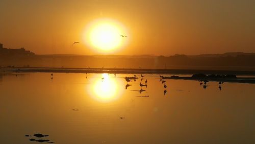 Scenic view of sunset