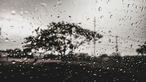 Close-up of raindrops on glass window