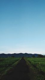 Road amidst field against clear blue sky
