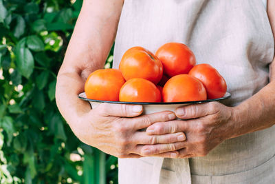 Midsection of man holding tomatoes