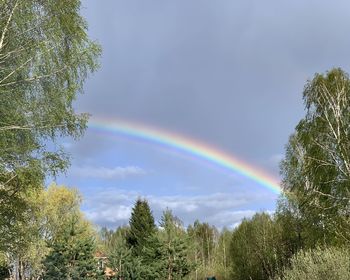 rainbow