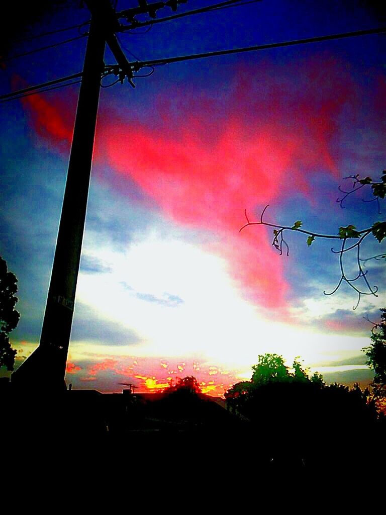 SILHOUETTE OF TREES AT SUNSET