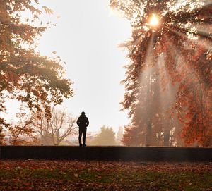 Rear view of man standing on field against sky during autumn