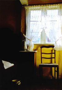 Close-up of cat on table at home