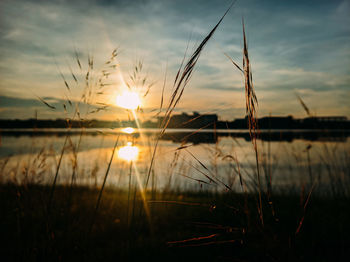 Dusk atmosphere by the ump lake