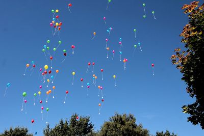 Low angle view of balloons over trees against clear blue sky