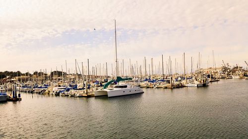 View of boats at harbor