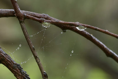  rainy beautiful day