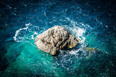 High angle view of rock in sea