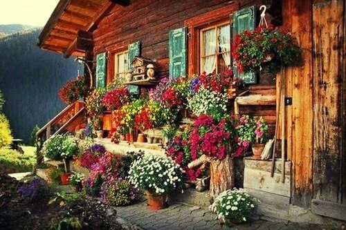 flower, plant, building exterior, built structure, architecture, growth, potted plant, house, freshness, text, decoration, nature, day, variation, hanging, outdoors, multi colored, no people, tree, flower pot