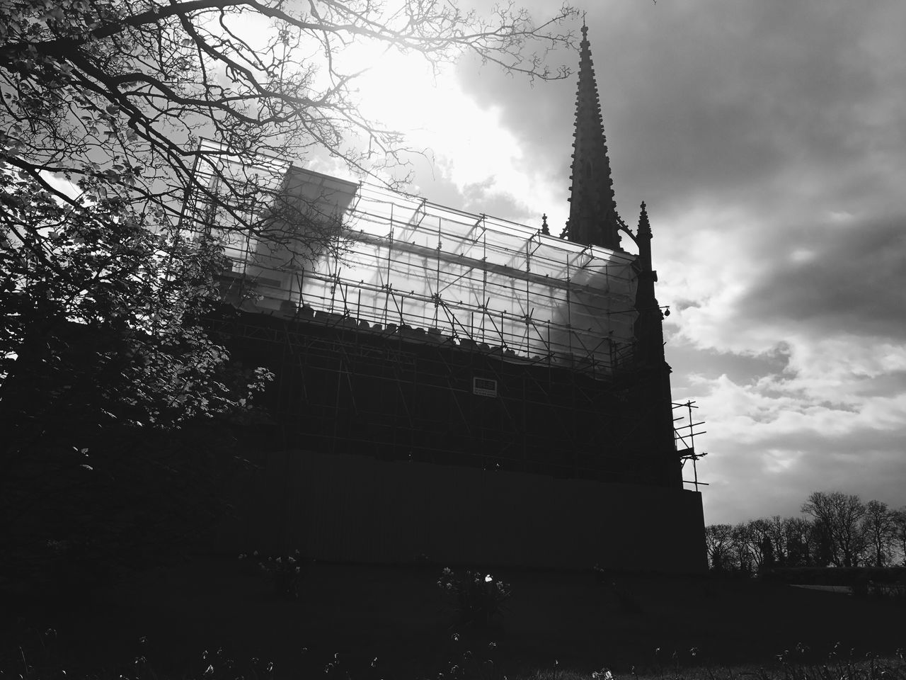 low angle view, sky, built structure, tree, sunlight, silhouette, no people, architecture, outdoors, building exterior, sunbeam, day, cloud - sky, nature, skyscraper