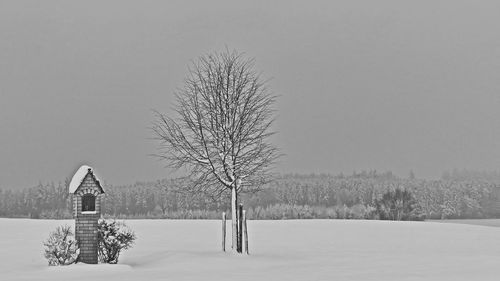 Bare tree on snow covered field against sky