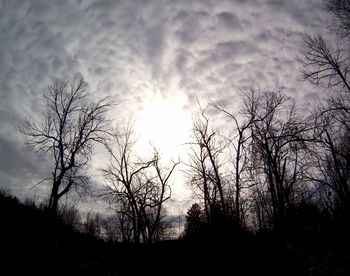 Silhouette bare trees against sky