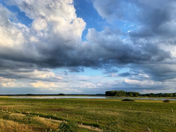 Scenic view of agricultural field against sky