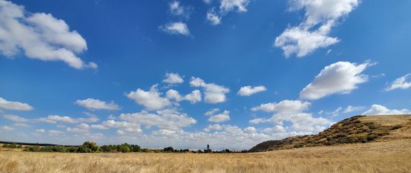 Scenic view of agricultural field against sky