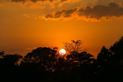 Low angle view of silhouette trees against sky during sunset