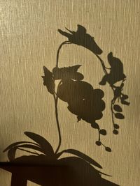 Close-up of shadow on wall