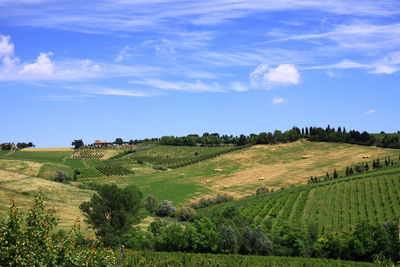 Scenic view of landscape against blue sky
