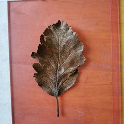 Close-up of dry maple leaf on wood