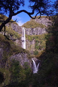 View of waterfall in forest