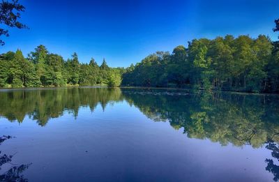 Scenic view of lake against clear blue sky