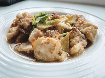 Close-up of food in plate