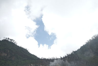 Low angle view of trees against sky