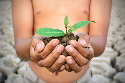 Midsection of shirtless boy holding sapling