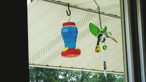 Low angle view of decoration hanging on glass window