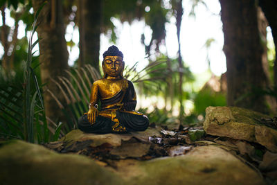 Rear view of man sitting in forest